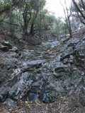 Serenity in the Slate Stream