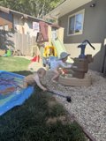 Summer Playtime Adventures