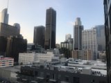 Urban Oasis