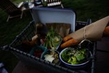A Relaxing Picnic in Sonoma