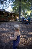 Autumn Afternoon at Thistlewyck