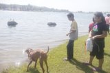 Fun in the Sun at the Lake