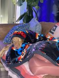 Cozy Canine Lounge