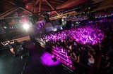 DJ Ignites Packed Crowd at Wobbleland 2026