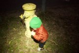 Tiny Adventurer meets Giant Hydrant