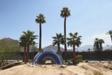 Rainbow Oasis in the Desert