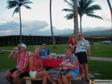 Summer Gathering under the Palm Trees
