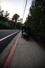 Evening Stroller Walk Along Suburban Sidewalk