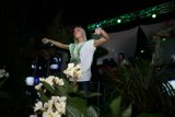 Dancing among the Blooms