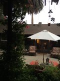 A Serene Patio Scene