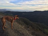 Majestic View