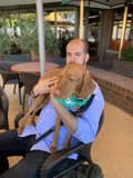 Man and his Vizsla Friend