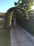A Romantic Stroll through the Garden