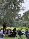 Musical Gathering in San Francisco Botanical Garden