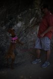 Man Walking His Dog on a Leash in the Rockies