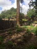 Nature's Haven