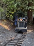 Train Adventure in Tilden Regional Park