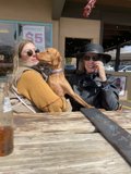 Relaxing with Canine Companions