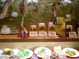 Delectable Display in Tokyo Cafeteria