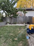 A Quiet Afternoon in Walnut Creek