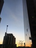The Metropolis Skyline at Sunset