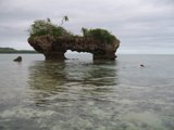 Ocean Adventure at the Cove
