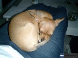 Cozy Cuddle Time