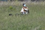 Spring Stroll in the Meadow