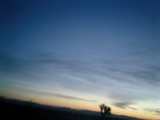 Silhouetted Tree at Sunset