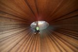 Illuminated Elegance Amidst the Hardwood