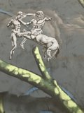 Two Men Fighting on a Tree Branch