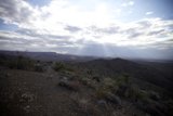 Desert Glory