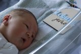 Welcome to the World, Leland