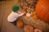 Autumn's Joy with Wesley