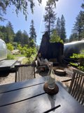 A Summer Afternoon with Wine and Nature