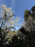 Enchanting Moments in March