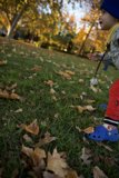 Jubilance in Autumn: Frisbee Frolics in Sonoma Park