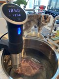 Kitchen Patrol