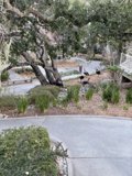 A Serene Moment in the Park