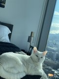 Cozy day in San Francisco