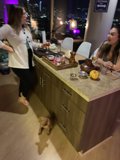 Home Cooking with a Furry Friend