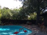 Summer Pool Fun