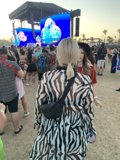 Zebra Stripes in the Desert