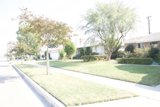 A Walkway in the Suburbs