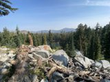 Majestic View of the Evergreen Mountains and Trees