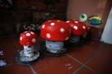 Magical Mushroom Mural