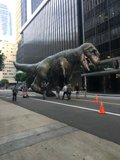 Ferociousness on the Road
