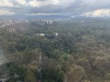 Overlooking the Urban Jungle