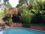 Relaxing Poolside Days