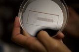 Small But Mighty: A Glass Plate Computer